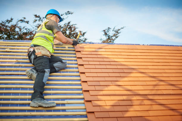 Best Chimney Flashing Repair  in Clearwater, KS